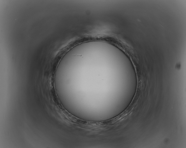 X0000093731205200710160806