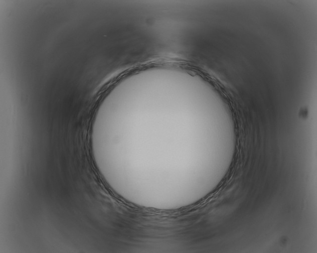 X0000093731206200710160806