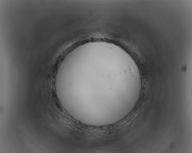 X0000093731207200710160806