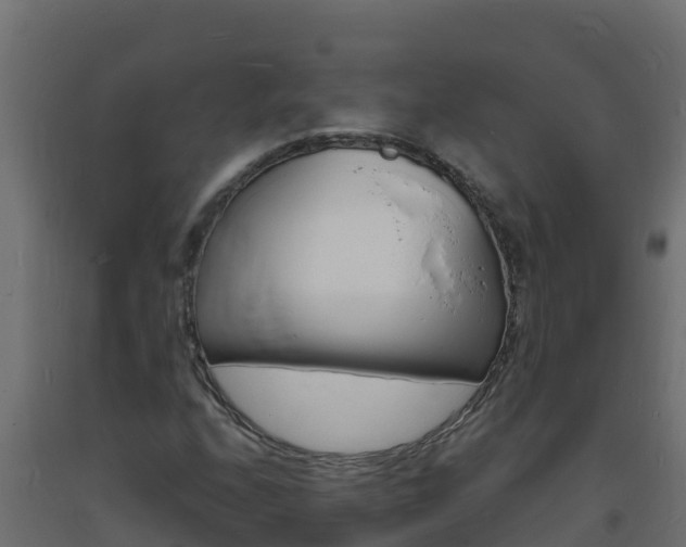 X0000093731208200710160806