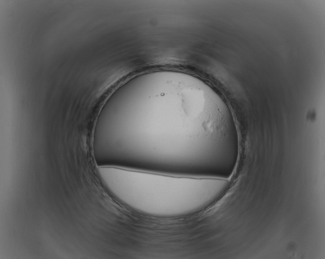 X0000093731209200710160806