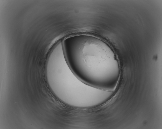 X0000093731210200710160806
