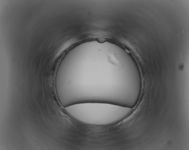 X0000093731211200710160806