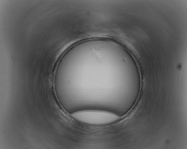 X0000093731212200710160806