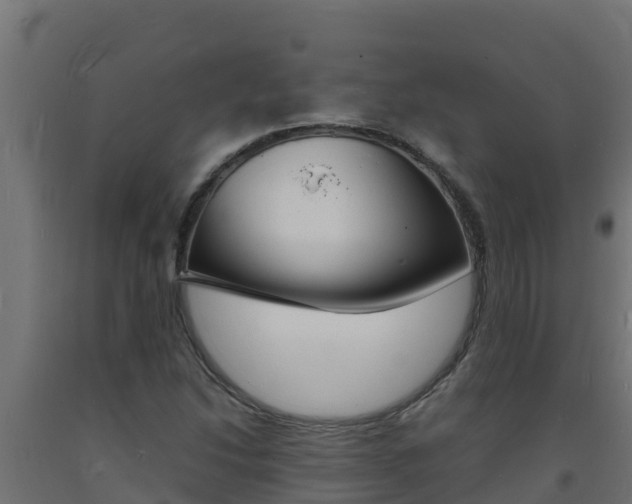 X0000093731214200710160806