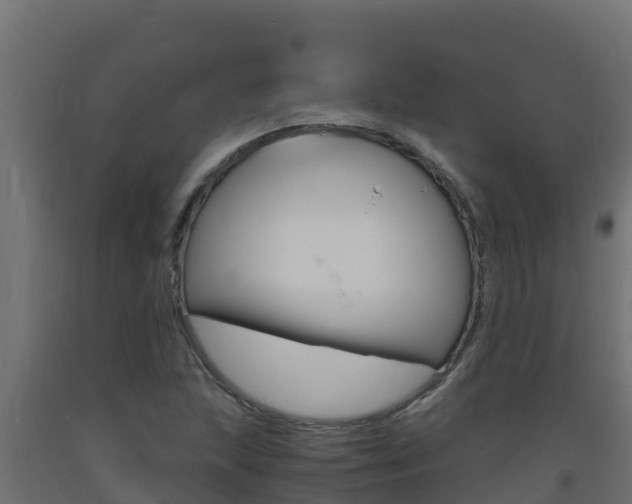 X0000093731215200710160806