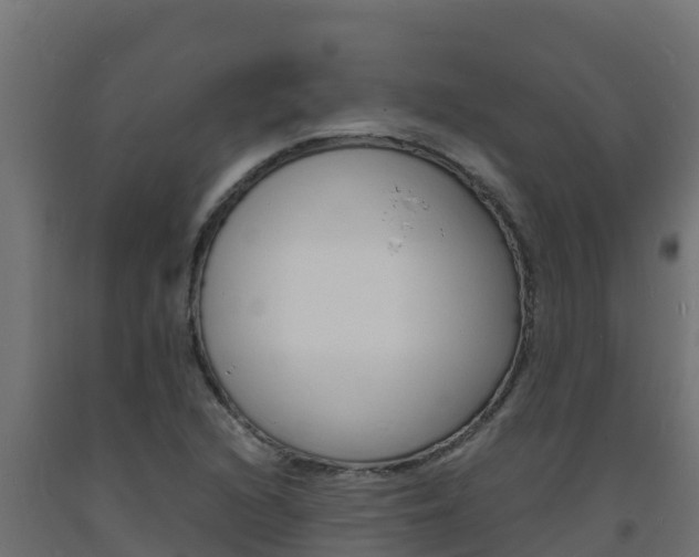 X0000093731216200710160806