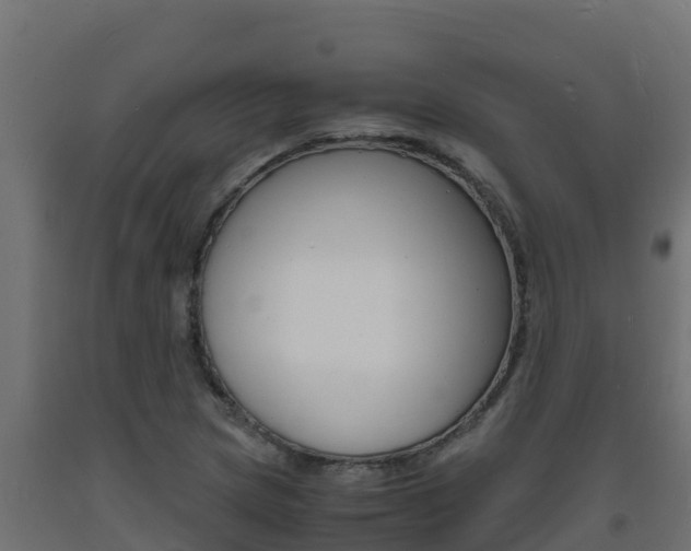 X0000093731217200710160806
