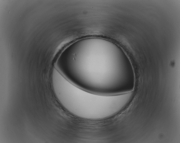 X0000093731218200710160806
