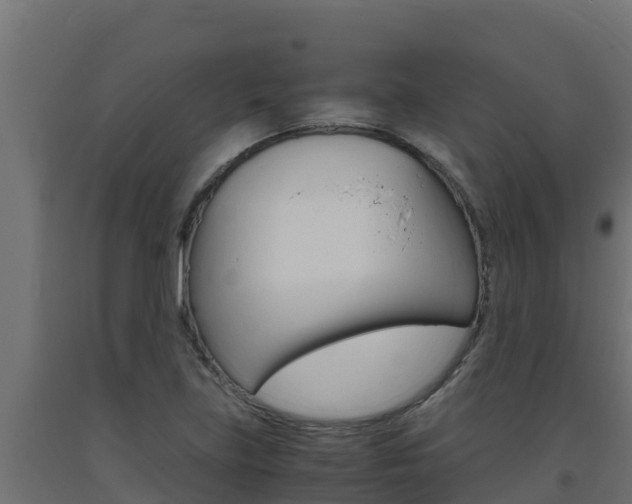 X0000093731219200710160806
