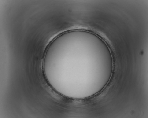 X0000093731220200710160806