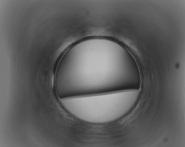 X0000093731221200710160806