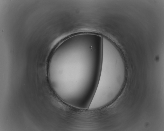 X0000093731222200710160806