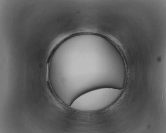 X0000093731223200710160806