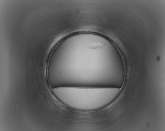 X0000093731224200710160806