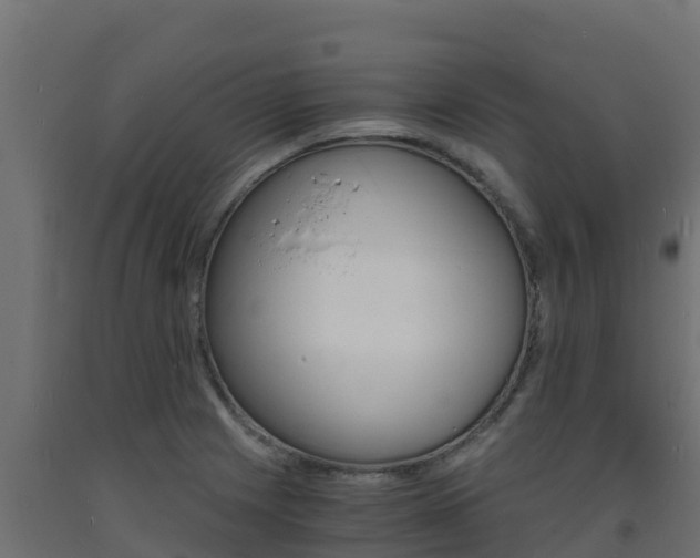 X0000093731225200710160806