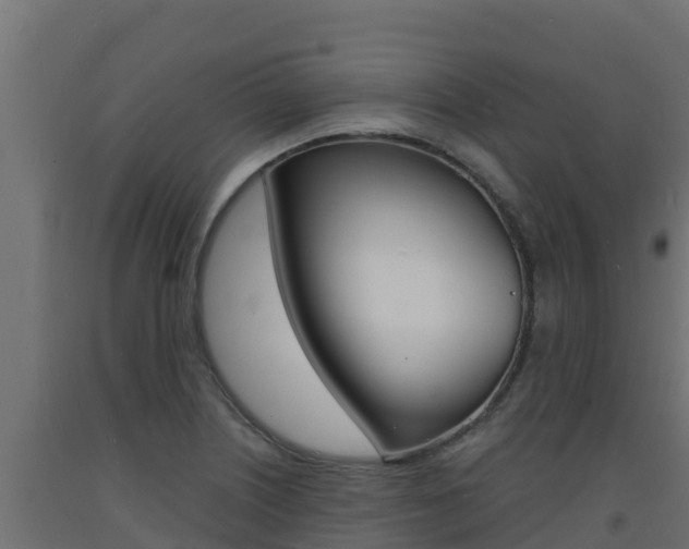 X0000093731226200710160806