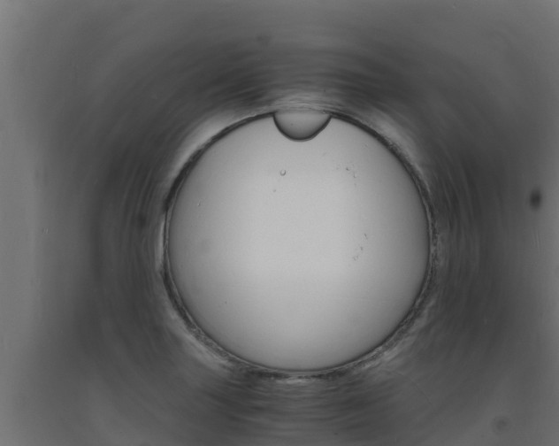 X0000093731227200710160806