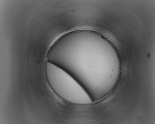 X0000093731228200710160806