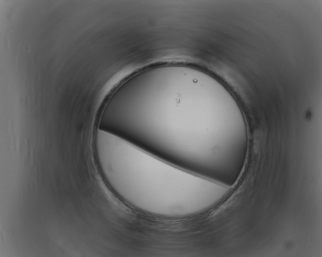 X0000093731229200710160806