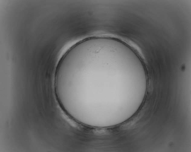 X0000093731231200710160806