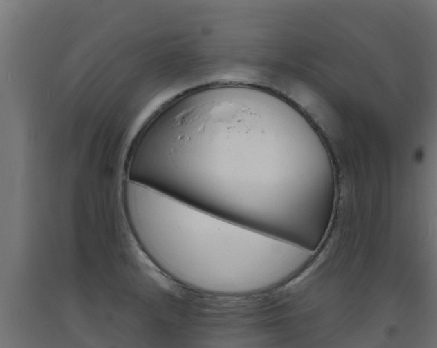 X0000093731232200710160806