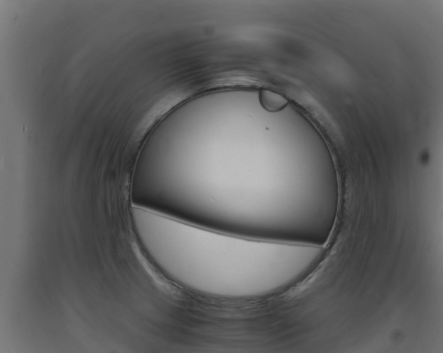 X0000093731233200710160806