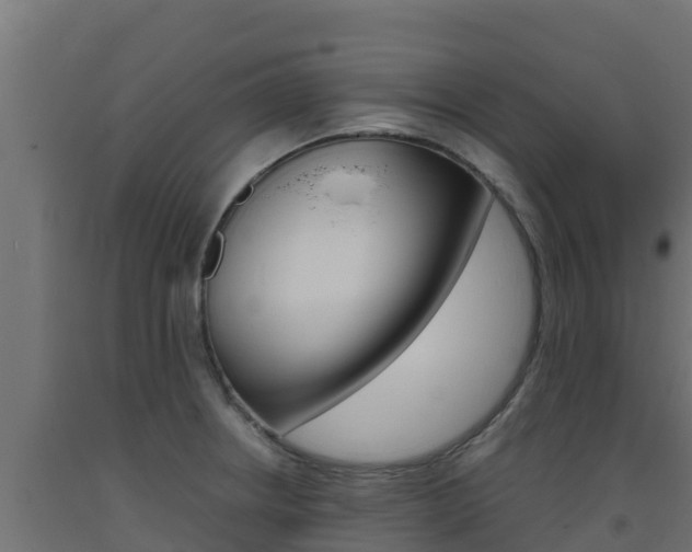 X0000093731234200710160806