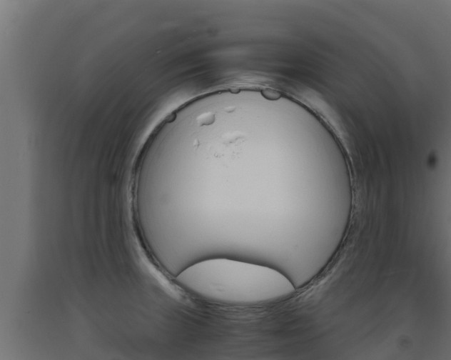 X0000093731235200710160806