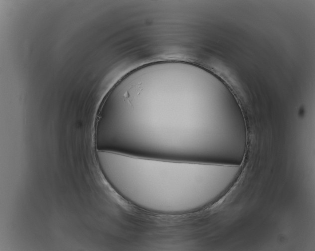 X0000093731236200710160806