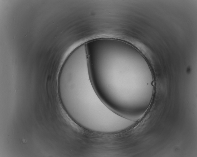 X0000093731238200710160806