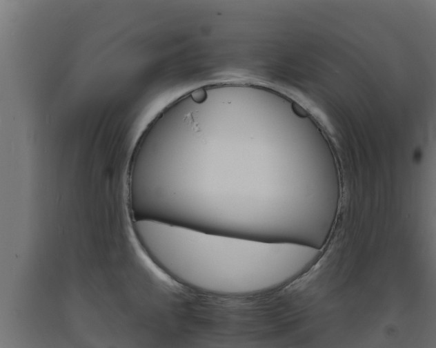 X0000093731239200710160806