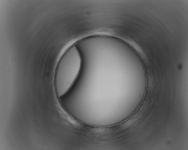 X0000093731240200710160806