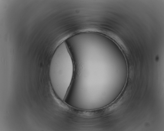 X0000093731241200710160806