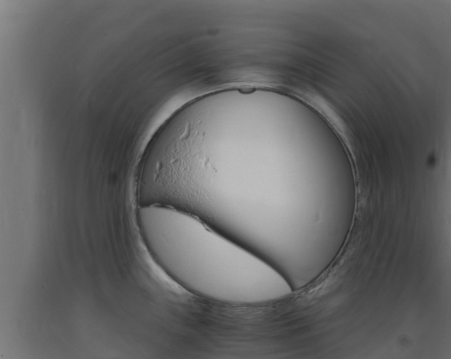 X0000093731243200710160806