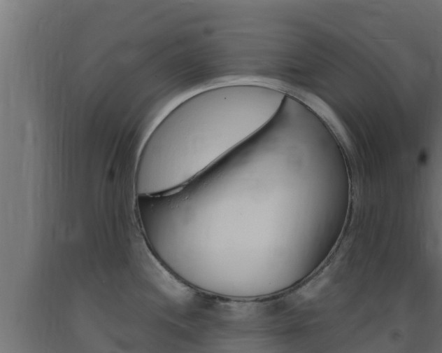 X0000093731244200710160806
