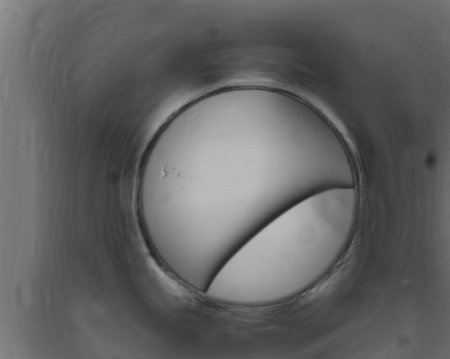 X0000093731245200710160806