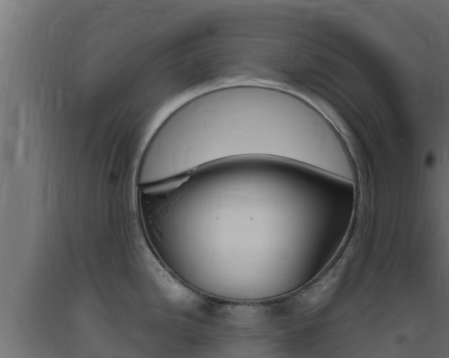 X0000093731246200710160806