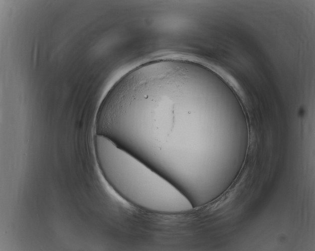 X0000093731247200710160806