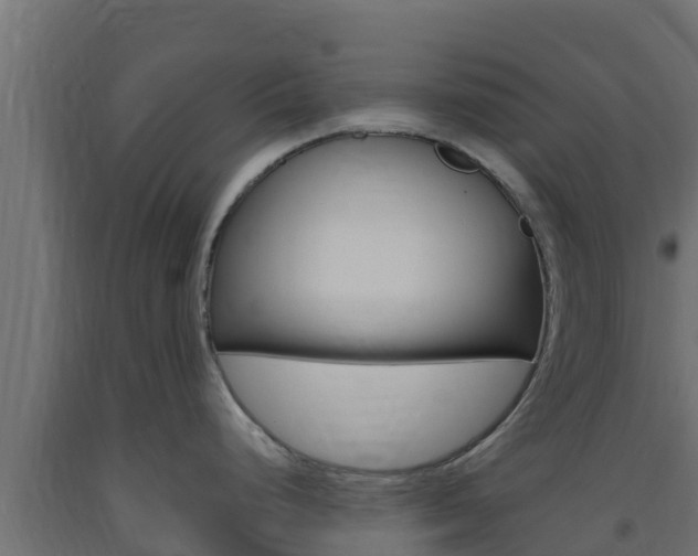 X0000093731248200710160806