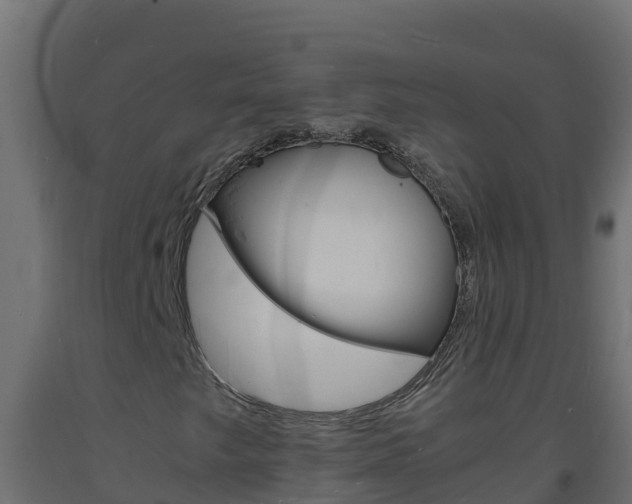 X0000093731249200710160806