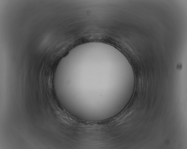 X0000093731250200710160806