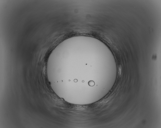 X0000093731251200710160806