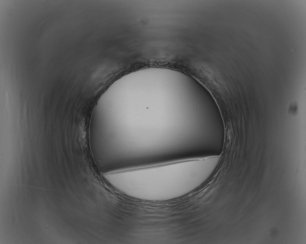 X0000093731252200710160806