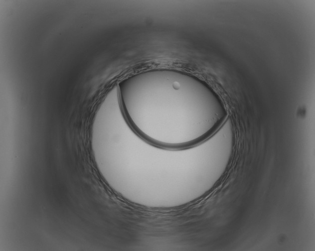 X0000093731253200710160806