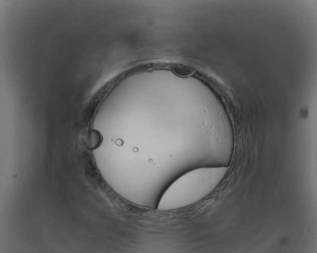 X0000093731255200710160805