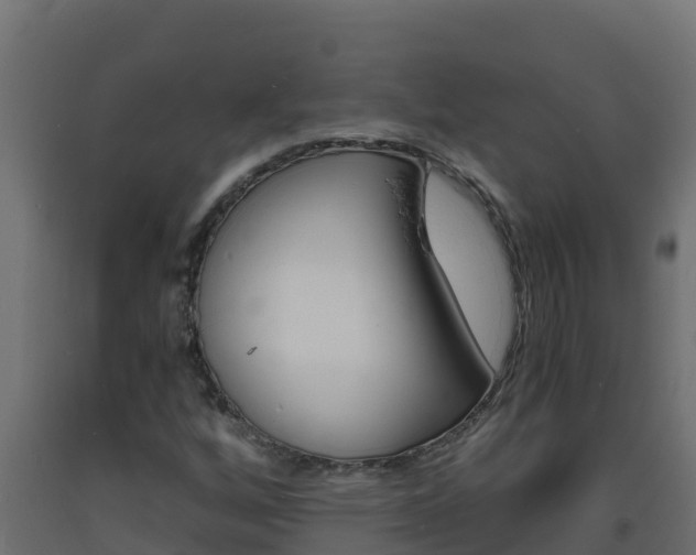 X0000093731256200710160805