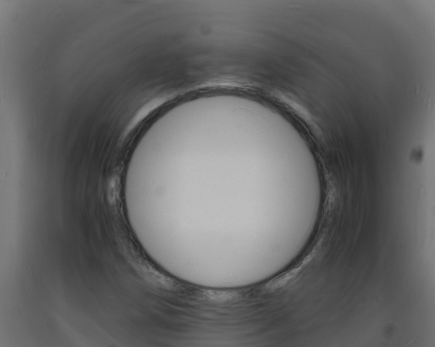 X0000093731258200710160805