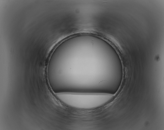 X0000093731260200710160805