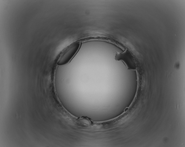 X0000093731261200710160805